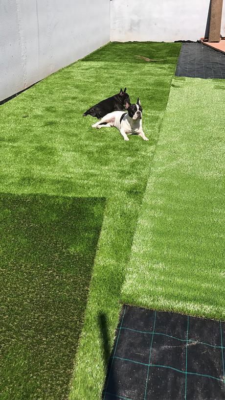 ANTES Y DESPUÉS : la terraza de arriba de la casa de Barcelona