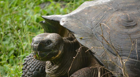 El calentamiento global amenaza nuestra biodiversidad