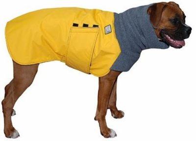 Modelos de ropa para perros boxer - Paperblog