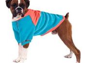 Modelos ropa para perros boxer