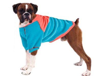 ropa para perro boxer