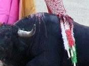 Ciertas reflexiones surgidas fragor combate dialéctico