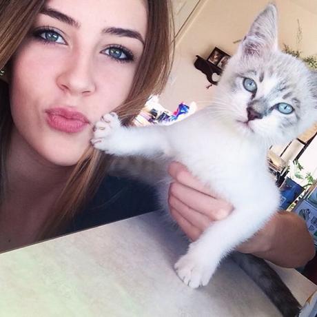 10 Gatos graciosos obligados a una selfie con sus dueños