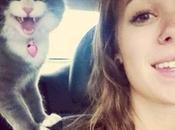 Gatos graciosos obligados selfie dueños