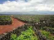 Hacer Azores. Actividades Fascinantes