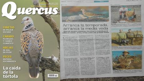 Buscamos a la tórtola europea por Salamanca, aunque la quieren matar