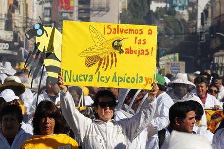 APICULTORES CHILENOS MARCHARON EN PROTESTA POR MORTANDAD DE ABEJAS.