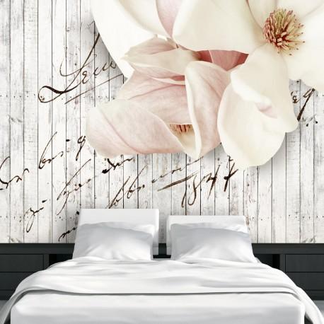 5 razones para decorar con fotomurales 5 razones para decorar con fotomurales