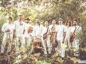 Jungle Fire Kexp