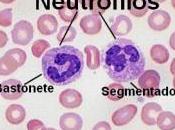 Mala utilización Antibióticos incrementa Infecciones