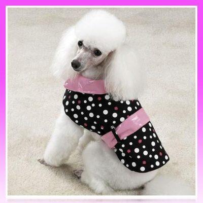 Imagenes de ropa para perros poodle o caniche - Paperblog