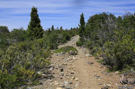 Sendero Laguna del Toro