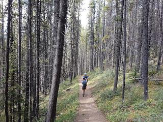 SENDERISMO EN BANFF: CASCADE MOUNTAIN (2998 m)