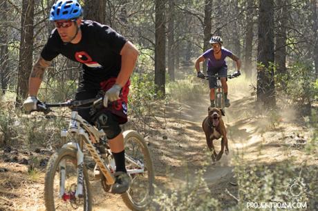 Cómo evitar el ataque de un perro cuando vamos en bicicleta