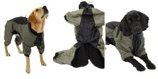 Pasear al Perro Bajo la Lluvia