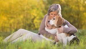 Señales de Calma Para Nuestros Perros