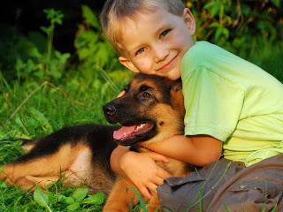 Señales de Calma Para Nuestros Perros