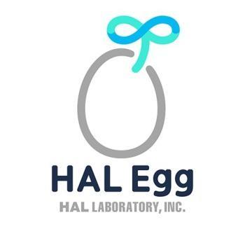 HAL Laboratory (Kirby, BoxBoy!) establece HAL Egg, su marca de juegos para móviles