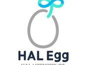 Laboratory (Kirby, BoxBoy!) establece Egg, marca juegos para móviles