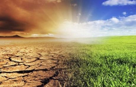 El Medio Ambiente como Enfoque Terapeutico