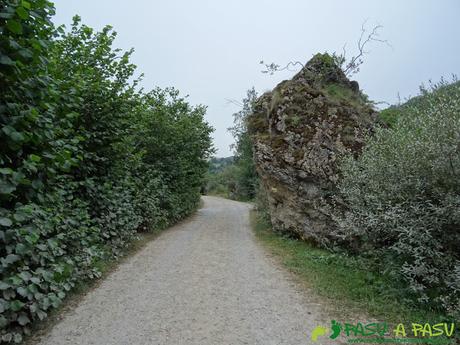 Ruta del Valle del Lago: pista y piedra con señalización