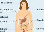 Entrando Menopausia