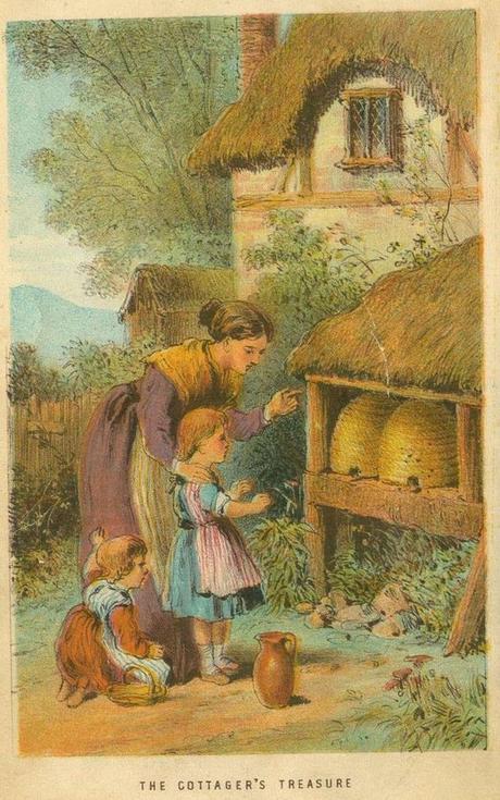 LÁMINAS Y PÓSTERS SOBRE ABEJAS - PRINTS AND POSTERS ABOUT BEES