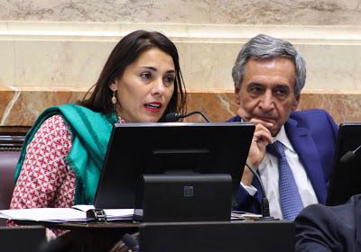 EL SENADO AMPLIO LA EMERGENCIA ECONÓMICA CON PLANES DE PAGOS PARA LAS DEUDAS FISCALES