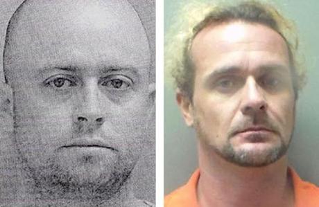 Muchacha sobrevive casi un mes perdida en un bosque