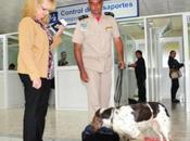 “Aduana Cuba” todo pagará divisas. Eliminarán primera importación Moneda Nacional