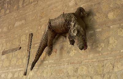 VISITAR AL CAIMÁN, por Miguel Camuñas