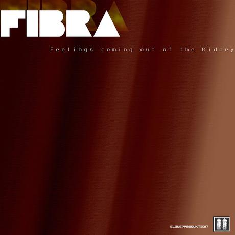 FIBRA feelings coming out of the kidney