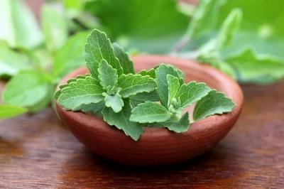 Propiedades de la stevia rebaudiana