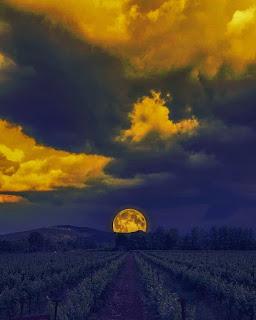 ¡QUÉ SUERTE TIENE LA LUNA...!