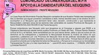 Rioseco sumó el apoyo de una línea del MPN