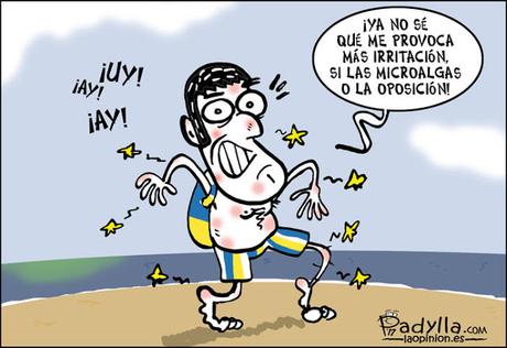 [Humor en cápsulas] Para hoy viernes, 25 de agosto de 2017