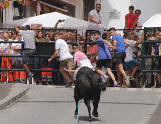 EL TORO DE CUERDA DE LA AURORA, PERFECTO PREÁMBULO PARA EL XIV CONGRESO NACIONAL DEL TORO DE CUERDA