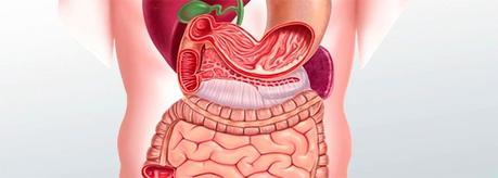 Causas del corte de digestión