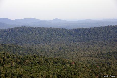 Carroñeros misioneros