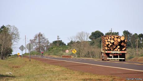 Carroñeros misioneros