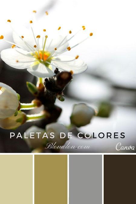 Paletas de Colores 17 Estilo Canva