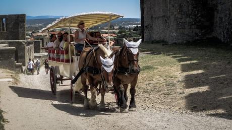 Carcasonne, Carcasona