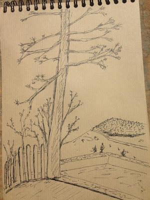 Dibujos de un verano.