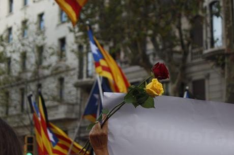 Flores rojas y amarillas en representación de los colores de Barcelona. Foto: Jennifer Veliz/ Cubadebate.