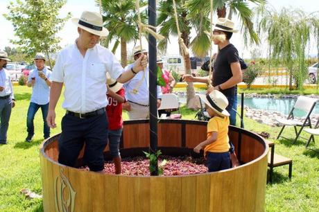 Cierra exitosamente la “Primer Vendimia Potosina 2017”