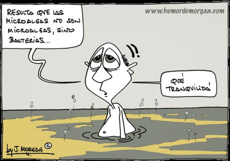 [Humor en cápsulas] Para hoy martes, 29 de agosto de 2017