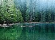 Soñar lagos: ¿Necesitas responderte ciertas preguntas?