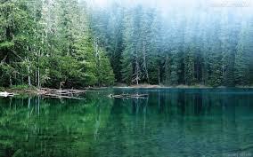 Soñar con lagos: ¿Necesitas responderte ciertas preguntas?