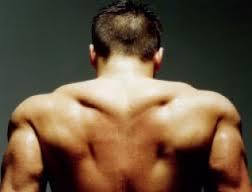 Lo que necesitarás saber al soñar con una espalda. Lo que necesitarás saber al soñar con una espalda.