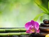 Soñar spa: ¿Necesitas unas vacaciones?